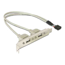 DELOCK Hátlapi kivezetés USB 9pin to 2x USB 2.0