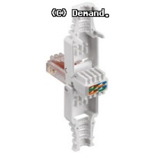 OEM RJ45 dugó 8P8C/db (UTP) CAT.6 sz.n. (44738) 44738